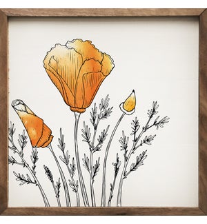 Watercolor California Orange Poppy